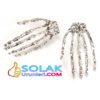 İskelet Sol El Küpe - Görsel 2