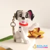 Sol Patili Dalmaçyalı Anahtarlık